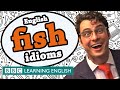 Fish Idioms 