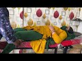 Traditional Leg Setting Health Treatment Short