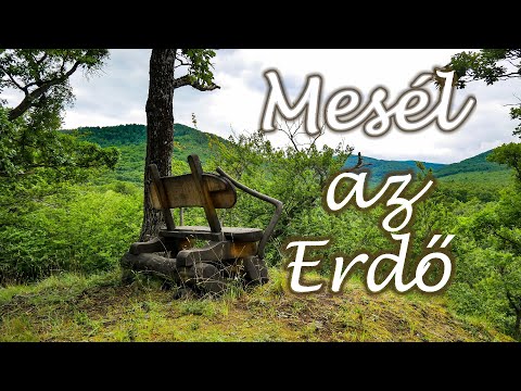 A Börzsöny feledésbe merült történelme