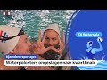 ‘Drie uit drie’: Oranje ongeslagen door naar kwartfinale | Meekijken met de waterpolosters op het EK