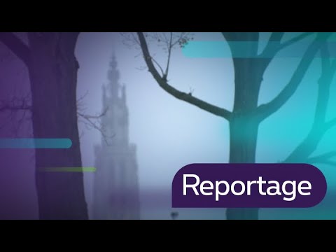 Reportage NL / Jens Naessens / Westerlo 30/11/2018