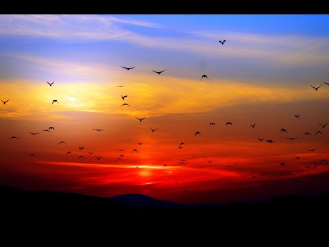 Kate Capella - Break These Chains