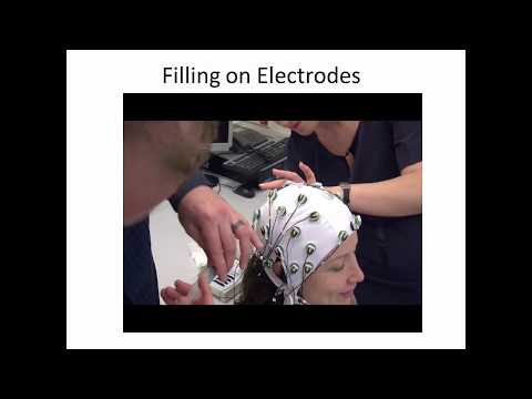 How to perform an EEG experiment