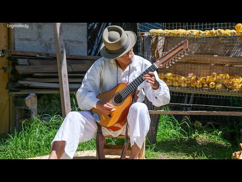 Wawa Chaki - Grupo Churay