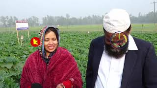 ফসল