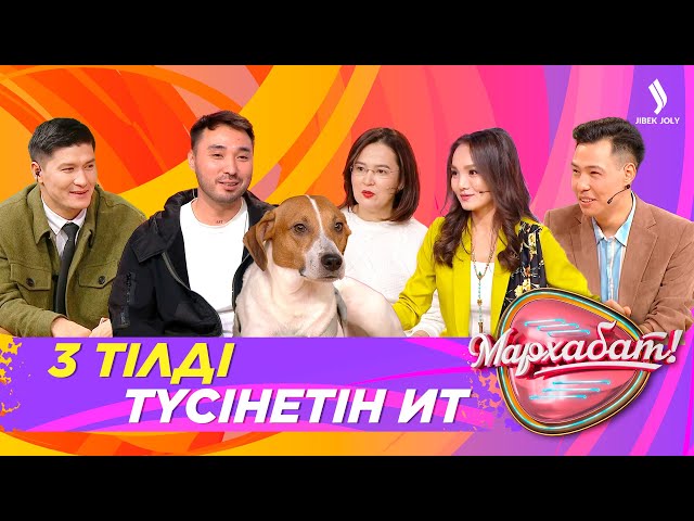 Президентпен кездескен жайдарманшы не нәрсеге өкінді?