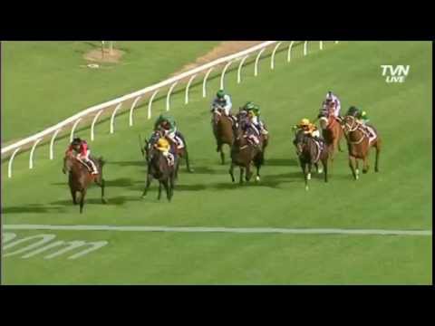 Last 400m - 2014 Ranvet Stakes - Silent Achiever
