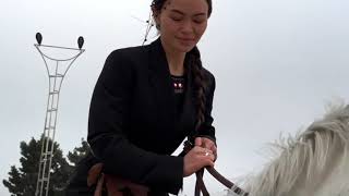 “Show Me Azerbaijan” International Bloggers Shusha Camp: visit to horse farm in Baku