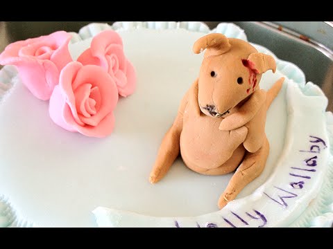 Bridging The Gap: Men | IN SEARCH OF THE WALLABY