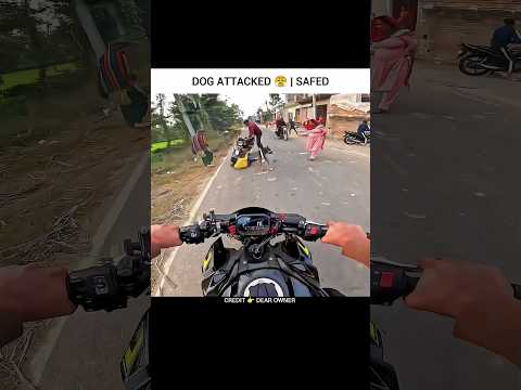 Dog Attacked 😤 | Motovlogs