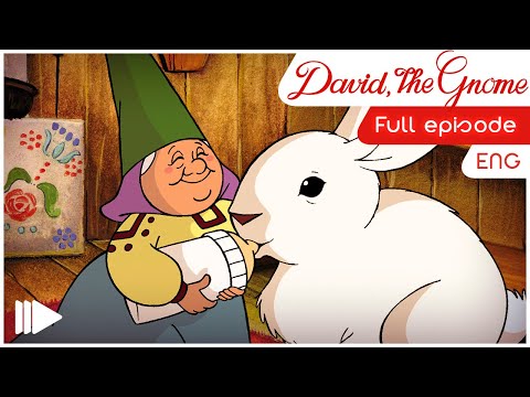 David the Gnome (English) - 05 - Building a House | Full Episode