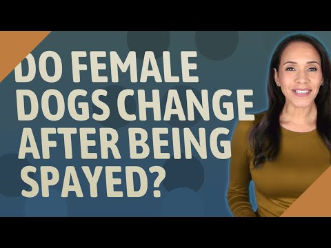 Do female dogs change after being spayed?