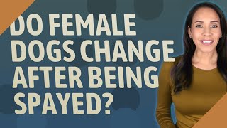 Do female dogs change after being spayed?