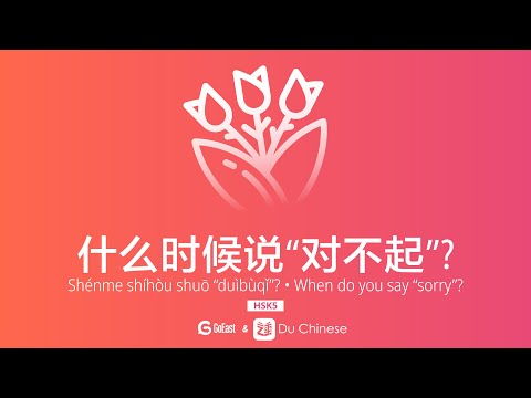什麼時候說“對不起”？