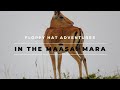 Kenya Safari Photo Album