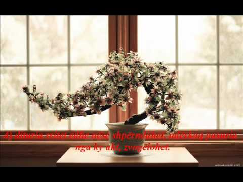 Dituria apo pasuria?!