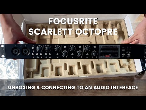 Focusrite OctoPre MkII 2010s - Black image 11