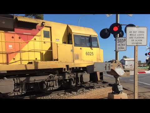 Aurizon MP1 6025 6022 pass Edinburgh SA on 2017