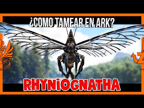 Como tamear RHYNIOGNATHA || MUY OP🔥 || Guia Definitiva | PC Consolas