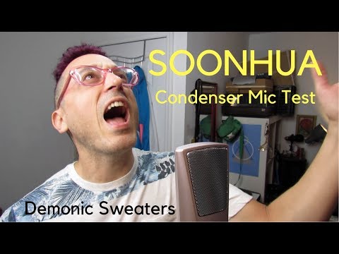 Soonhua Condenser Microphone Review and Sound Test