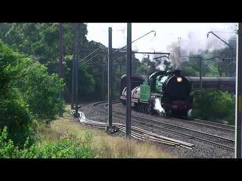 The Shores Express 3642