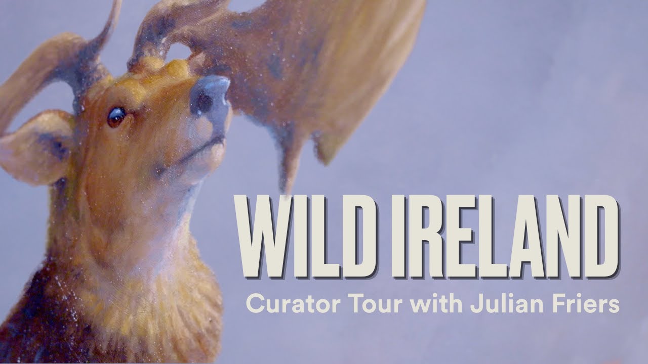 Wild Ireland: Curator Tour with wildlife artist Julian Friers | Ulster Museum