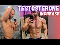 Boron increases free testosterone - new research