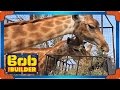 Bob The Builder Site Works Zoo Enclosures