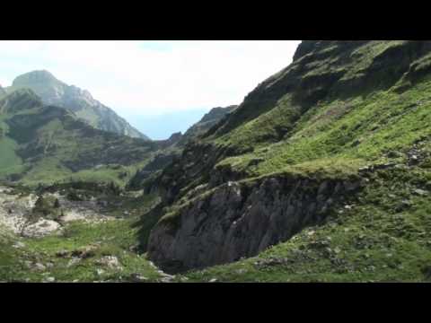 gamsalp@goa - orbit-cage