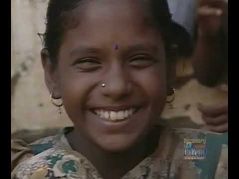 Ray Mears' World Of Survival S02E04 - The Coromandel Coast