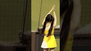 20250302 日本火腿交流賽 好萌邊荷律（변하율）林書逸應援2 #passionsisters #中信兄弟 #台湾チア