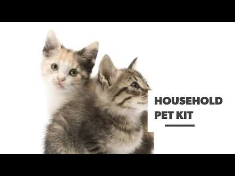 Top 40 Cats Breeds  Popular In The World❤️ Pic- Collected from google