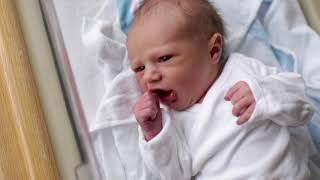 Fresh 48 by Nicole Smith Photography