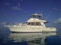 Mako Steber 41 Charter Boat Great Barrier Reef Cruising