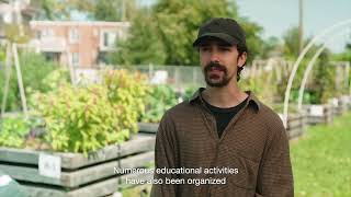 Continuing to Help the Community Through the Montreal East Collective Gardens