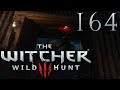 The Witcher 3: Wild Hunt [164] - Ominöser Schatz