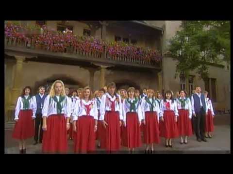 Fischer-Chor - Der Traum war schön (Plaisier d' amour) 2001