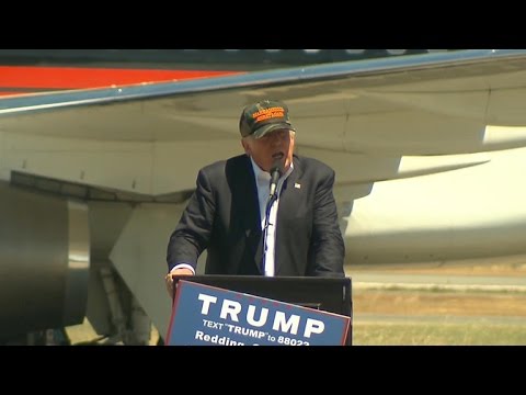 Trump on black supporter: "Look at my African-American"