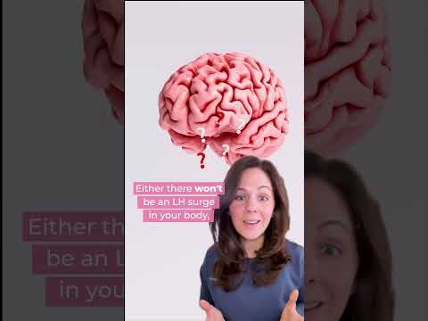 What Happens When You Ovulate ?