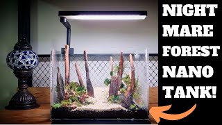 NIGHTMARE FOREST DRAGON STONE NANO TANK AQUARIUM SETUP