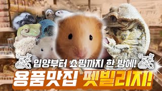 유튜브 썸네일