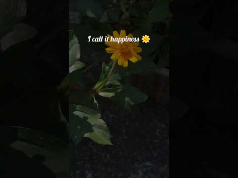 They called gardening is a waste of time🕛But I call it is my peace🙂‍↔️my happiness🌿and my everything