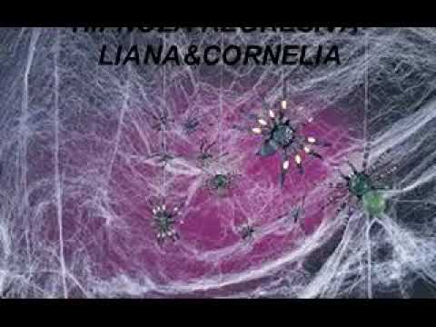 Hipnoza Regresiva 245 Cristina