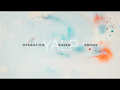 Ńemy - Operation Raven Smoke Remix feat. Waldemar Kasta (official audio)