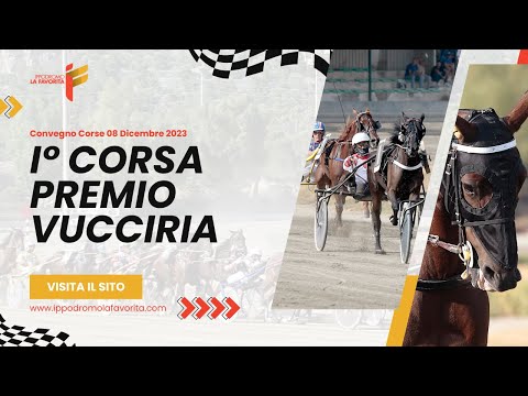 I Corsa del 08 Dicembre 2023 - 4 Anni - Metri 2000/2020 - Gentlemen