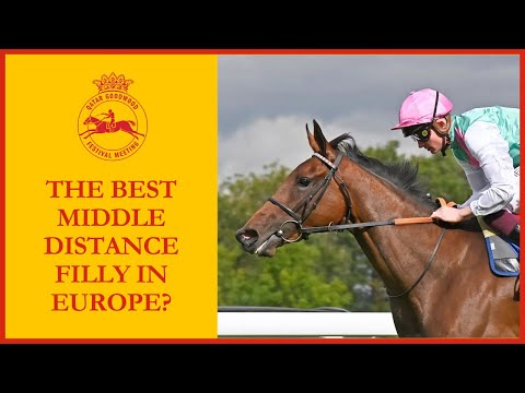 GOODWOOD OR ASCOT FOR BLUESTOCKING? | QATAR GOODWOOD FESTIVAL 2024