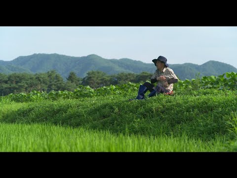 [지난 여름 X 겨울날들] 런칭 예고편 예고편