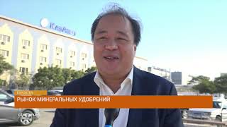 Рынок минеральных удобрений