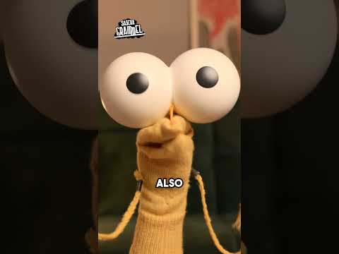 Do you know the best joke of all?