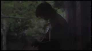 Never Shout Never - I love you more than words will ever know. ( central park version )